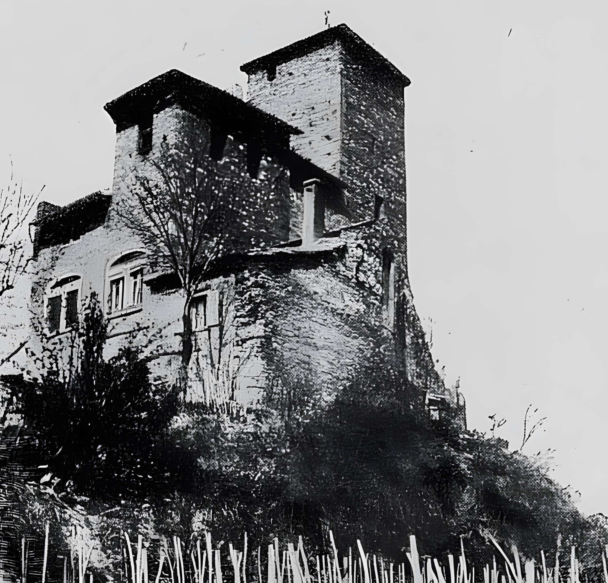 Château d'Albigny-sur-Saône