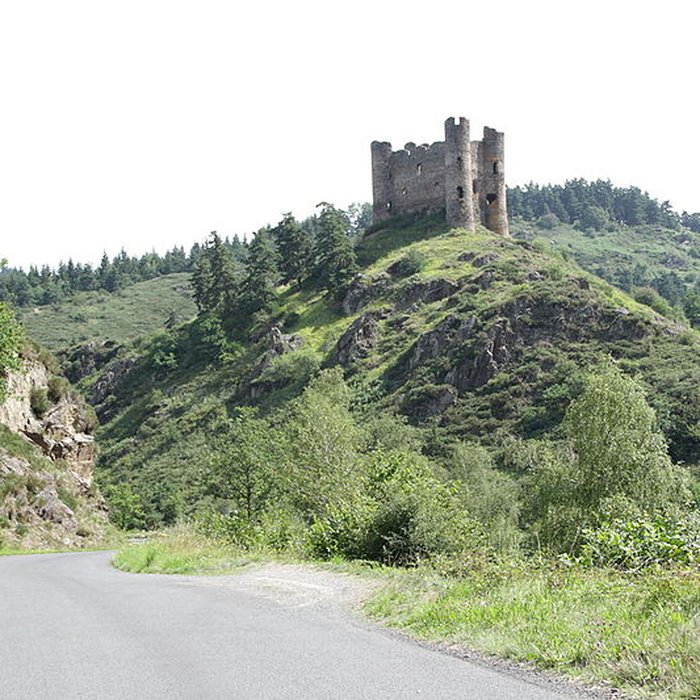 Photo de Restes du château fort