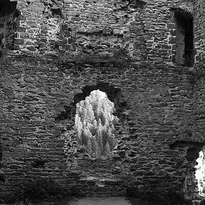 Photo de Restes du château fort