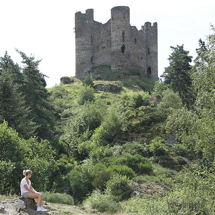 Photo de Restes du château fort