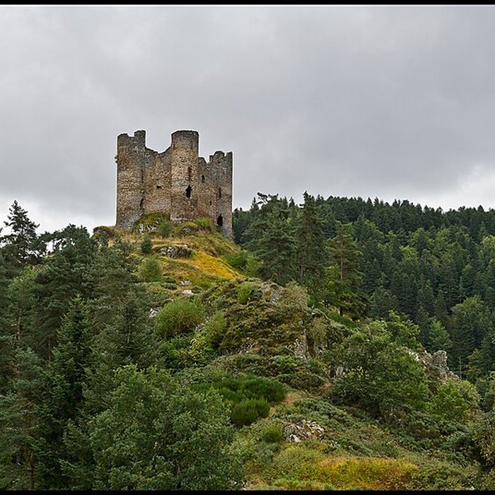 Photo de Restes du château fort