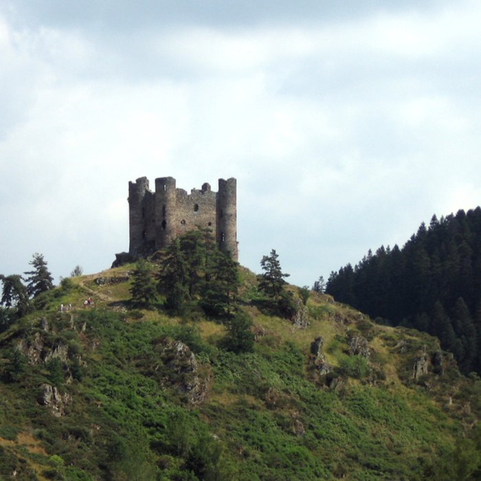 Photo de Restes du château fort