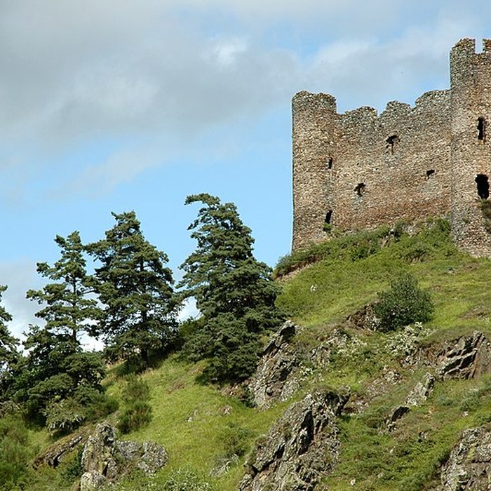 Photo de Restes du château fort