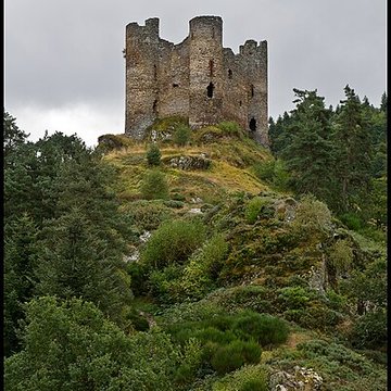 Restes du château fort