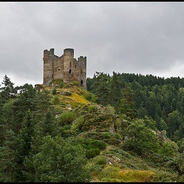 Restes du château fort