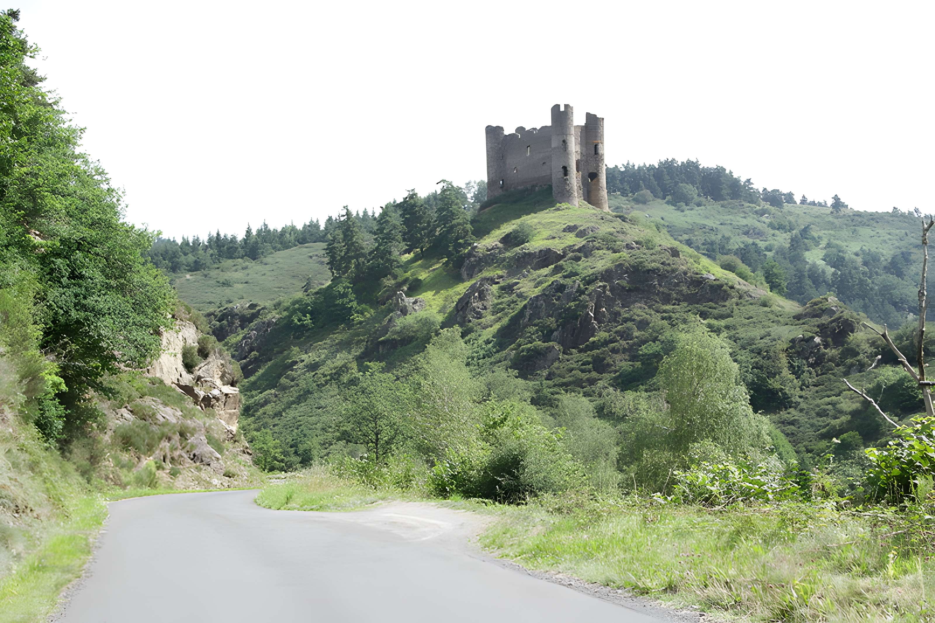 Restes du château fort