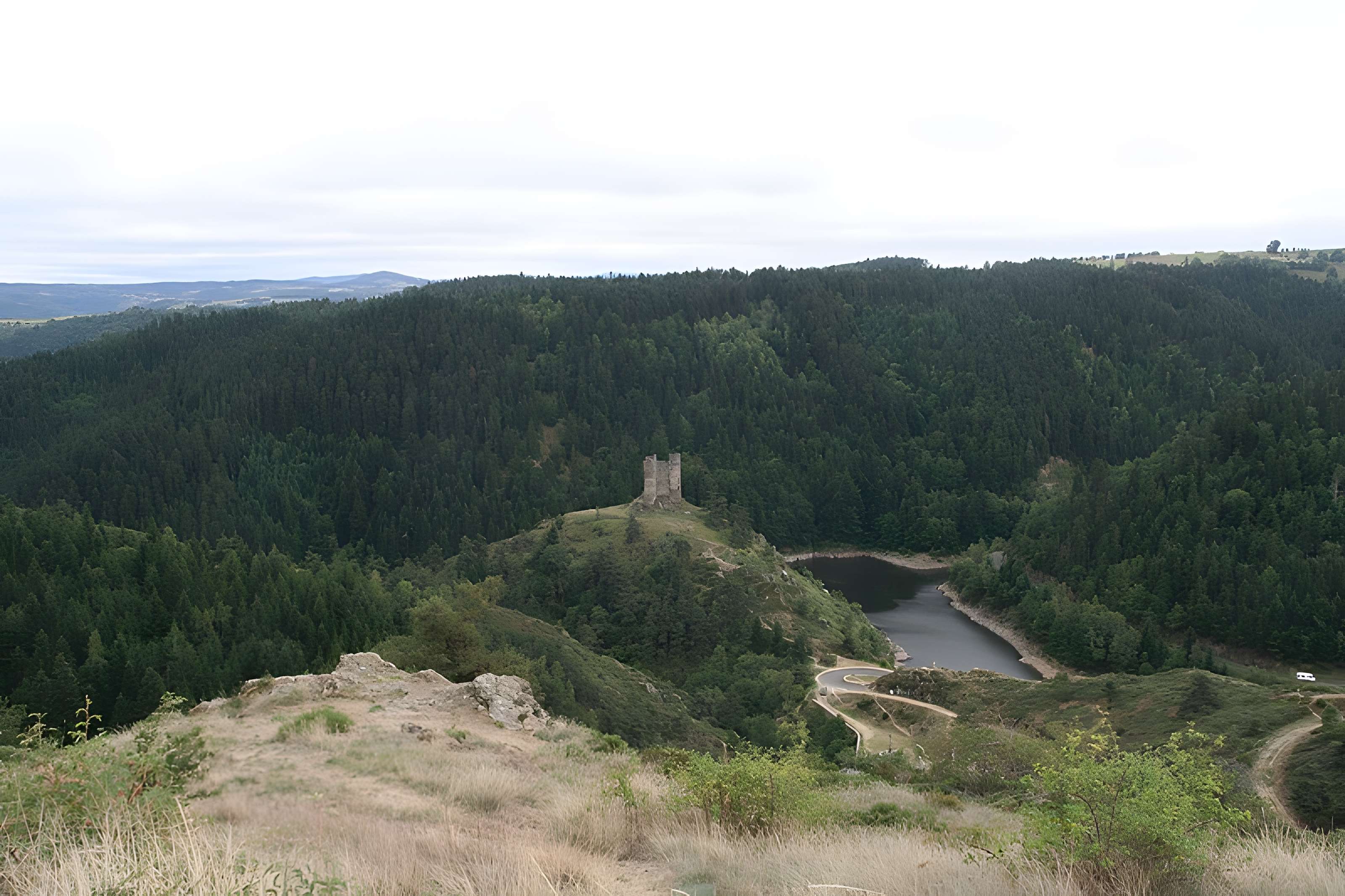 Restes du château fort