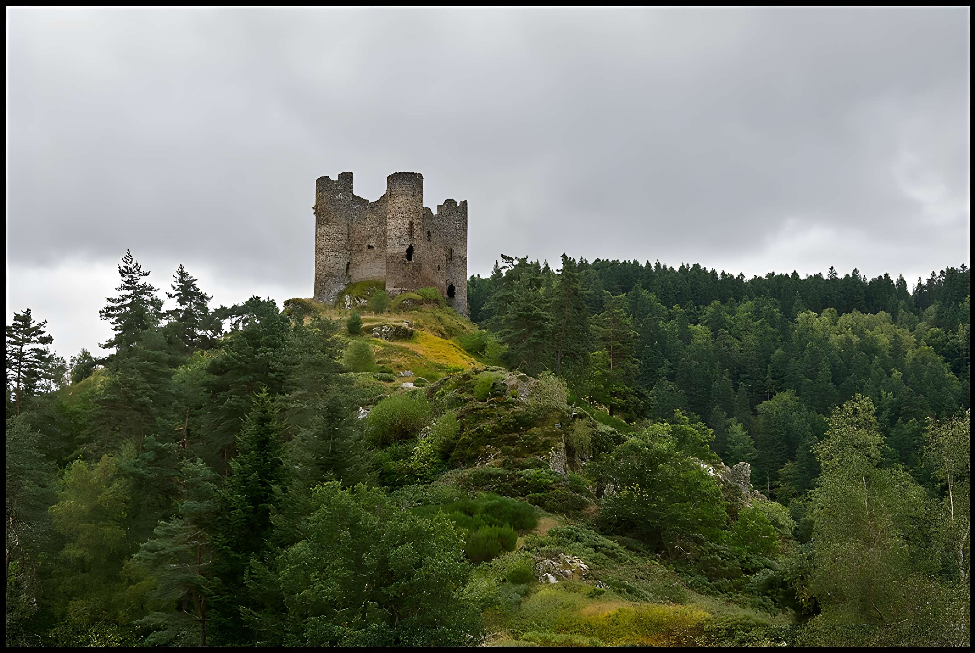 Restes du château fort