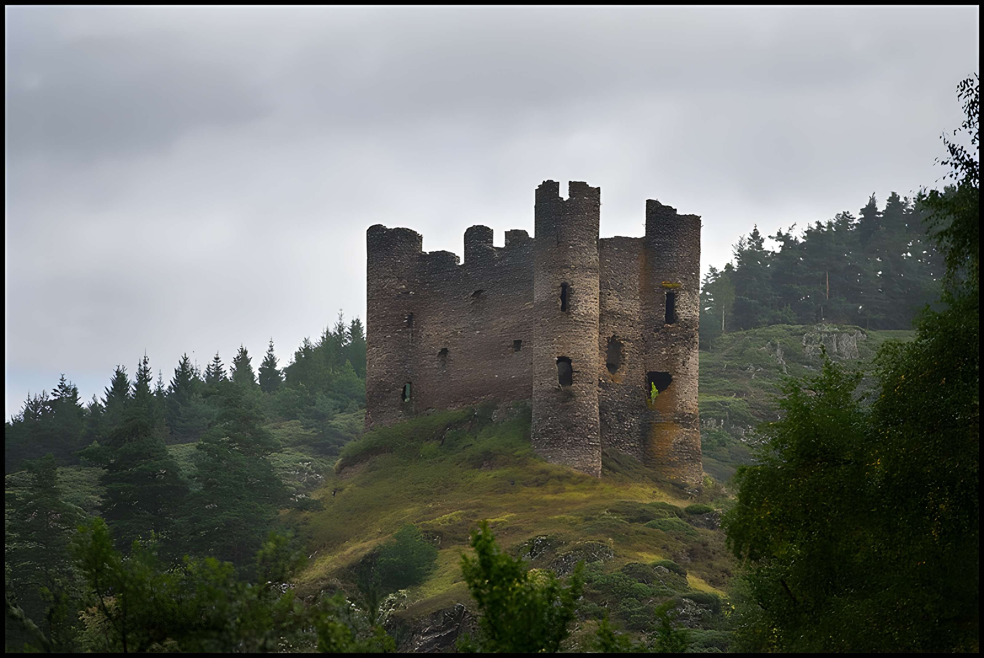 Restes du château fort