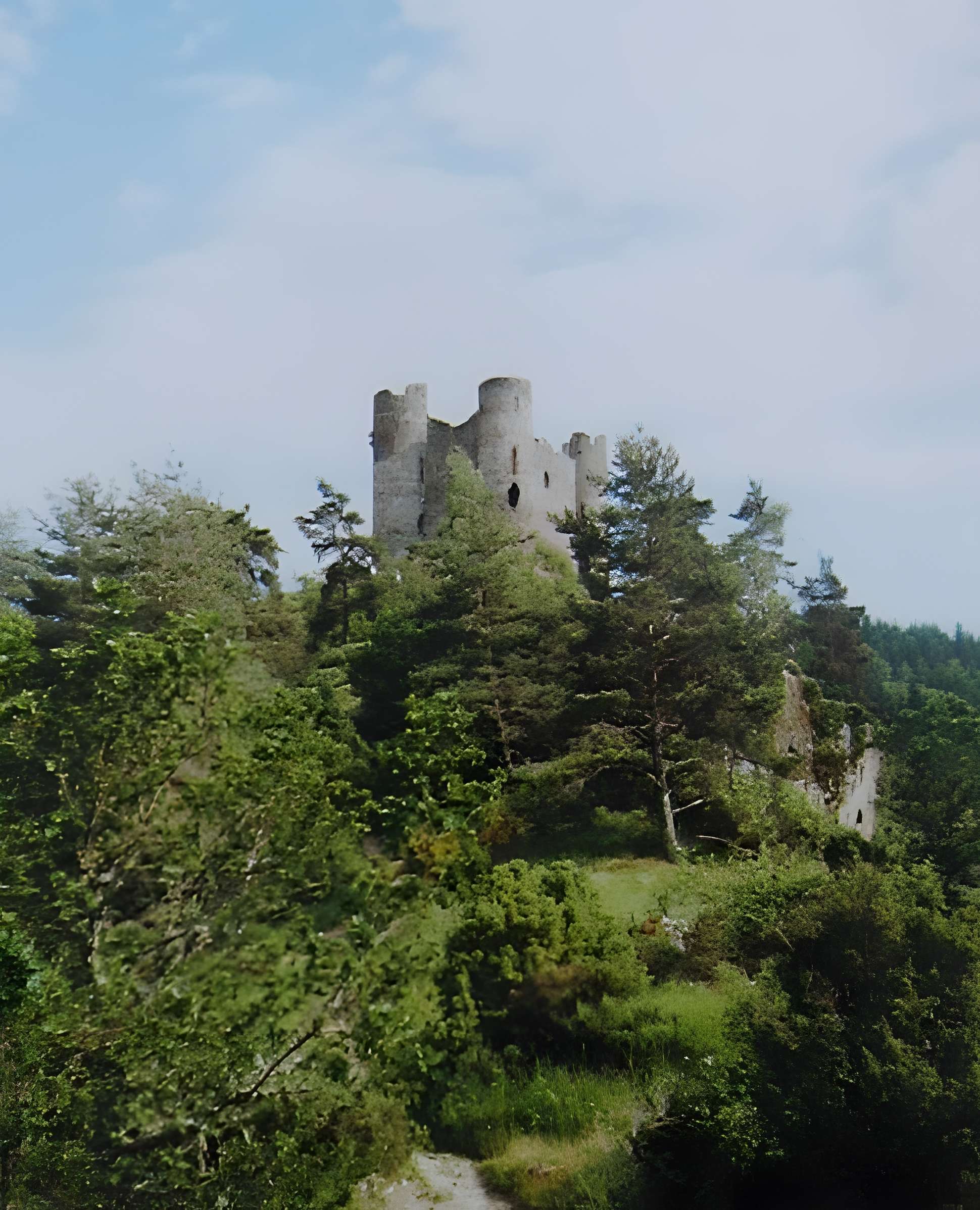 Restes du château fort