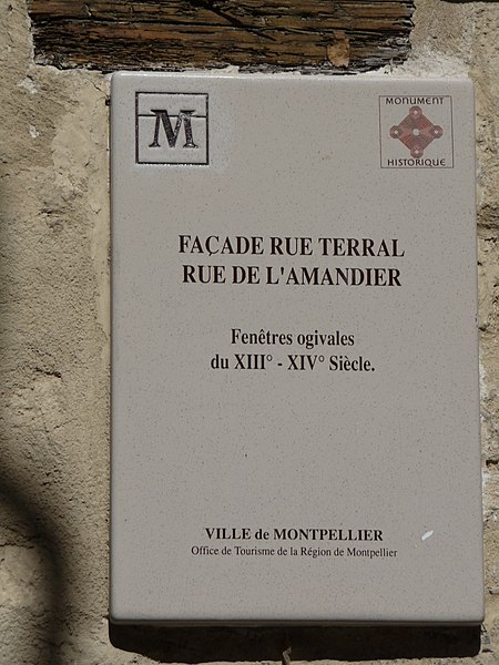 Immeuble, Rue Terral à Montpellier