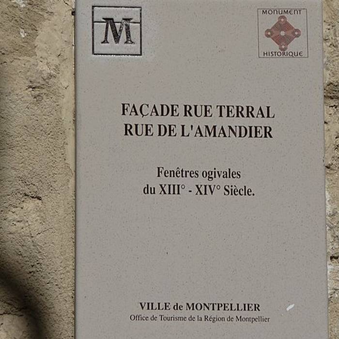 Photo de Immeuble, Rue Terral à Montpellier