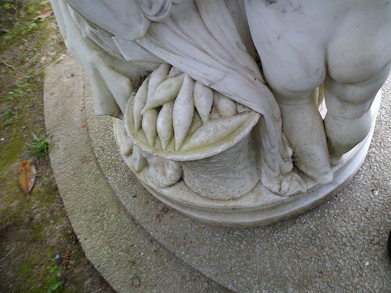 Jardin des plantes de Coutances