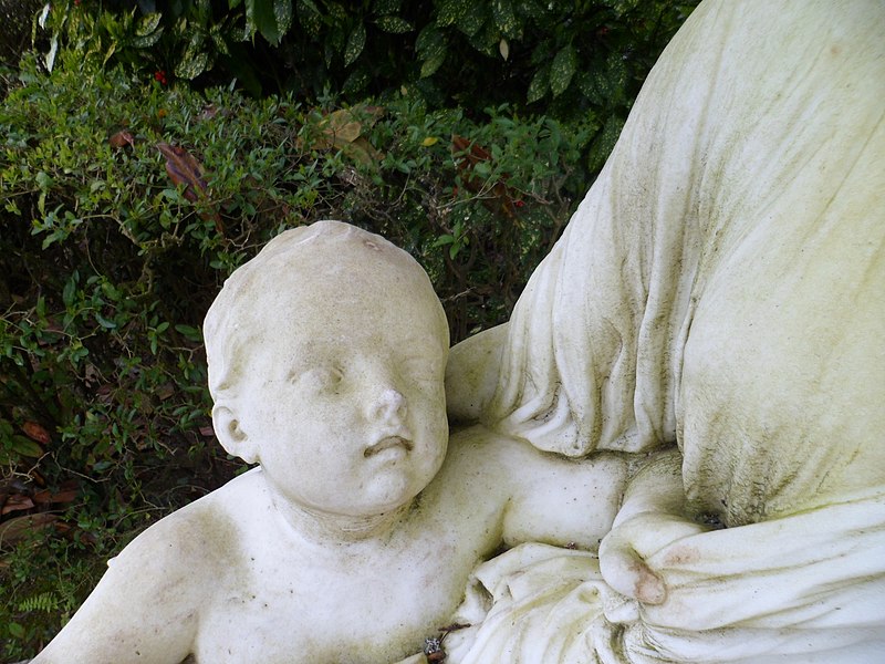Jardin des plantes de Coutances