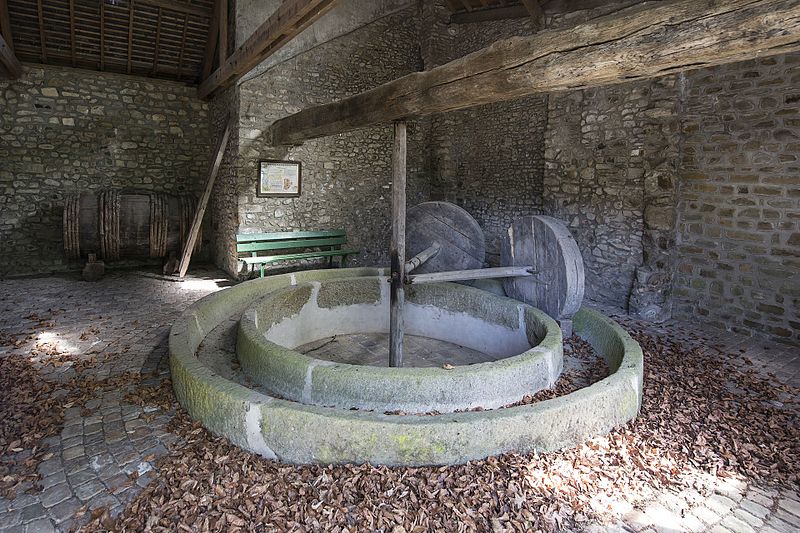 Jardin des plantes de Coutances