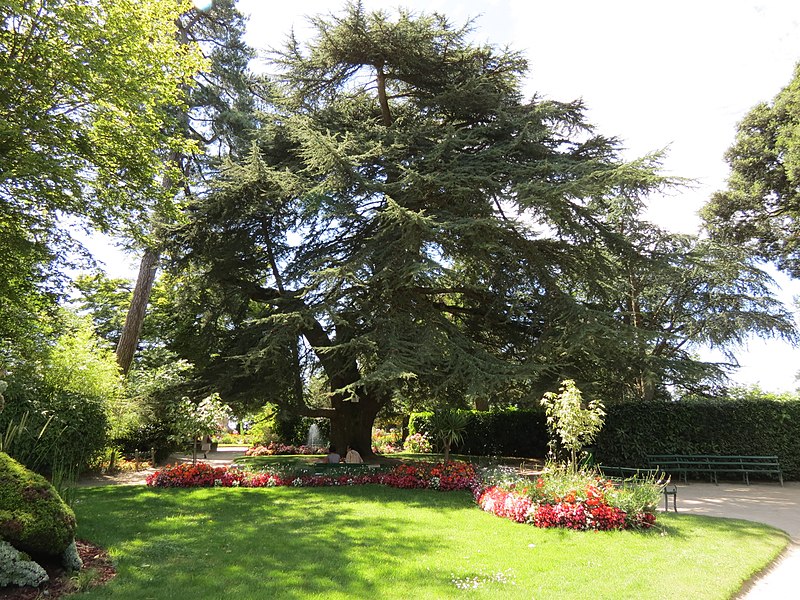Jardin des plantes de Coutances