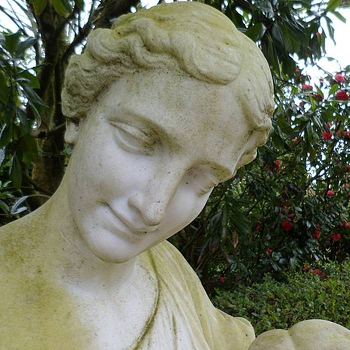 Photo de Jardin des plantes de Coutances