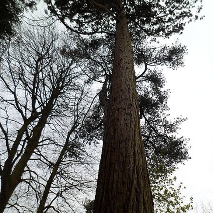 Photo de Jardin des plantes de Coutances