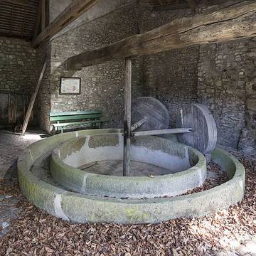 Jardin des plantes de Coutances