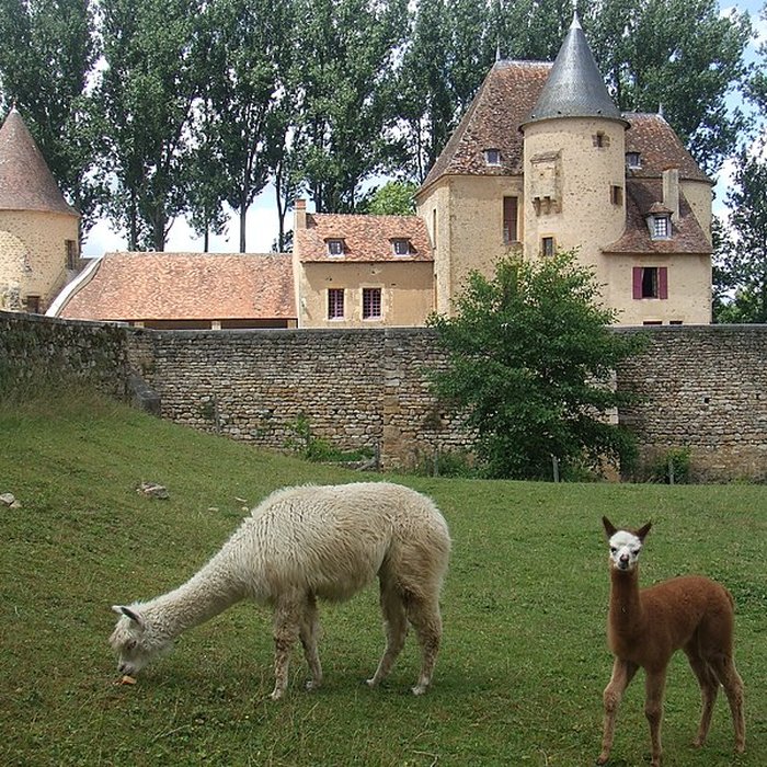 Photo de Château dAnizy