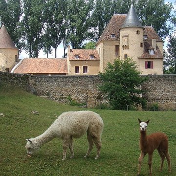 Château dAnizy