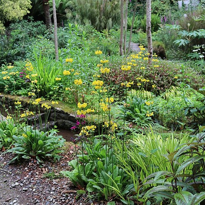Photo de Jardin du Kestellic de Plouguiel