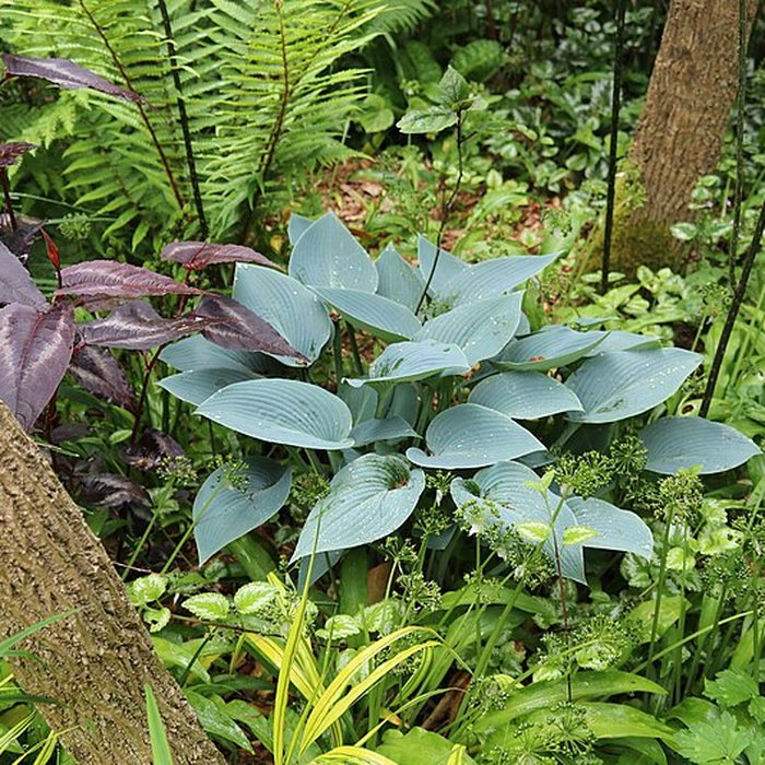 Photo de Jardin du Kestellic de Plouguiel