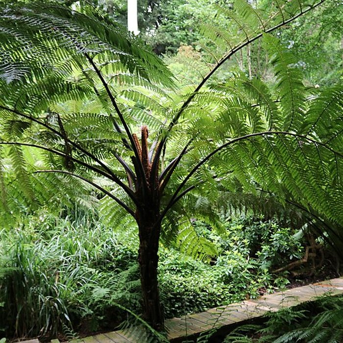 Photo de Jardin du Kestellic de Plouguiel