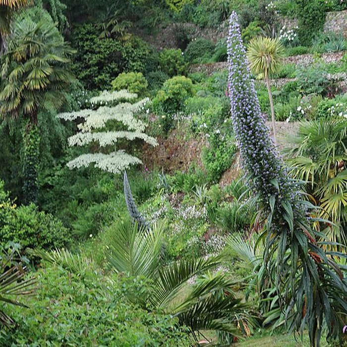 Photo de Jardin du Kestellic de Plouguiel