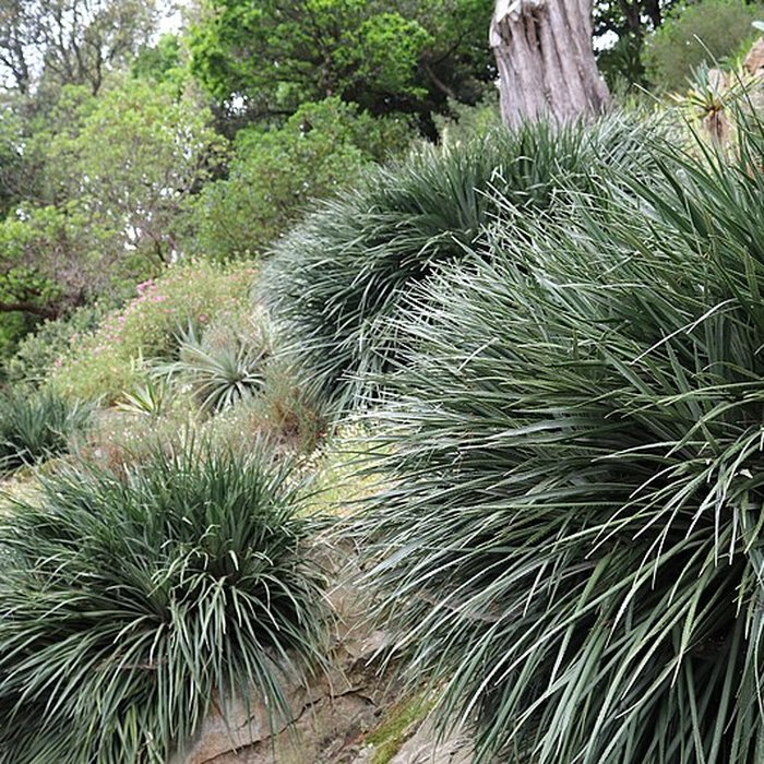 Photo de Jardin du Kestellic de Plouguiel
