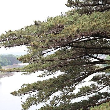 Jardin du Kestellic de Plouguiel