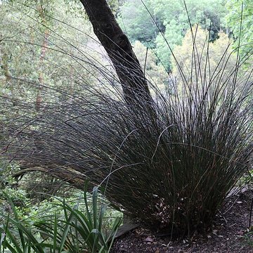 Jardin du Kestellic de Plouguiel