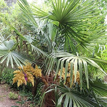 Jardin du Kestellic de Plouguiel