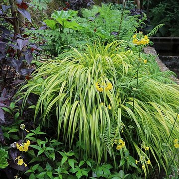 Jardin du Kestellic de Plouguiel