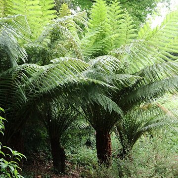 Jardin du Kestellic de Plouguiel