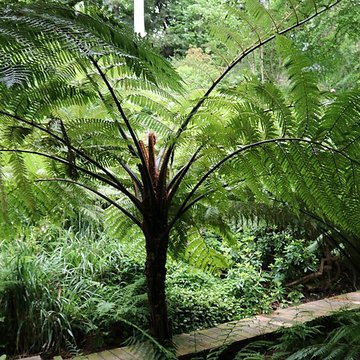 Jardin du Kestellic de Plouguiel