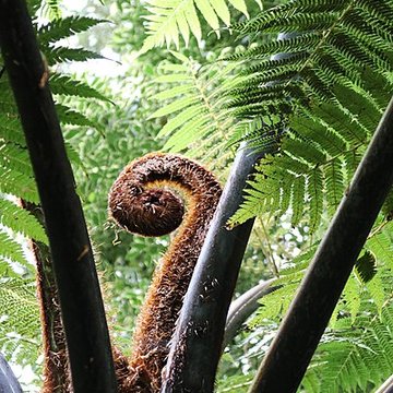 Jardin du Kestellic de Plouguiel