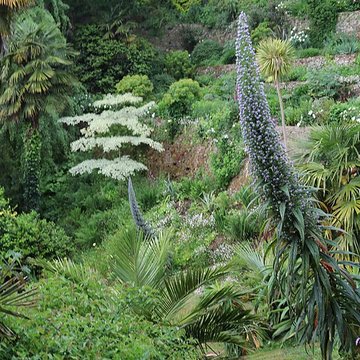 Jardin du Kestellic de Plouguiel