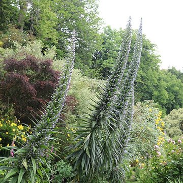 Jardin du Kestellic de Plouguiel