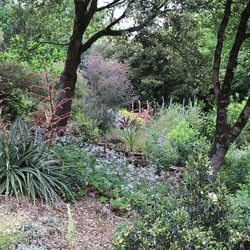 Jardin du Kestellic de Plouguiel