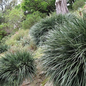 Jardin du Kestellic de Plouguiel