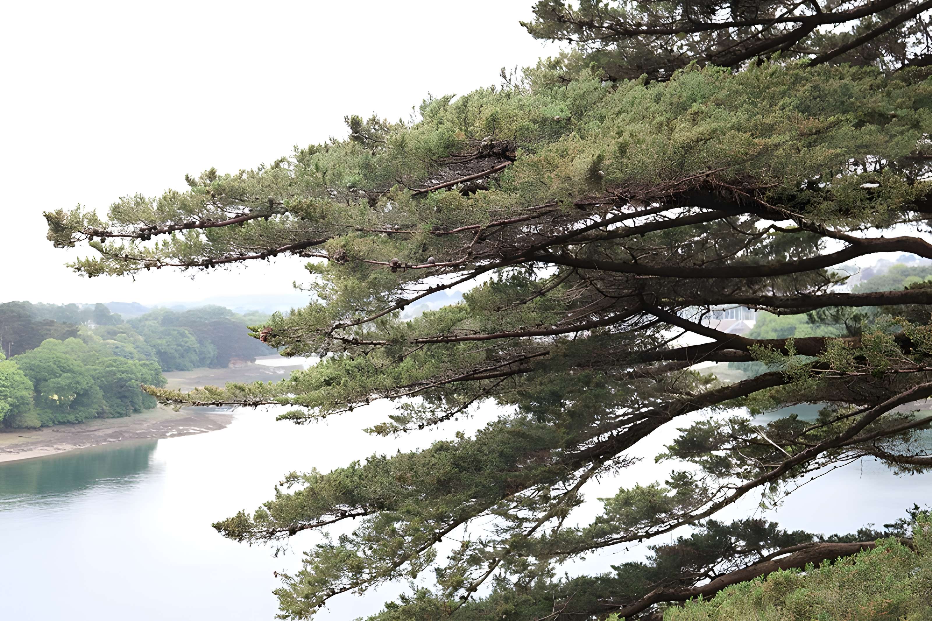 Jardin du Kestellic de Plouguiel