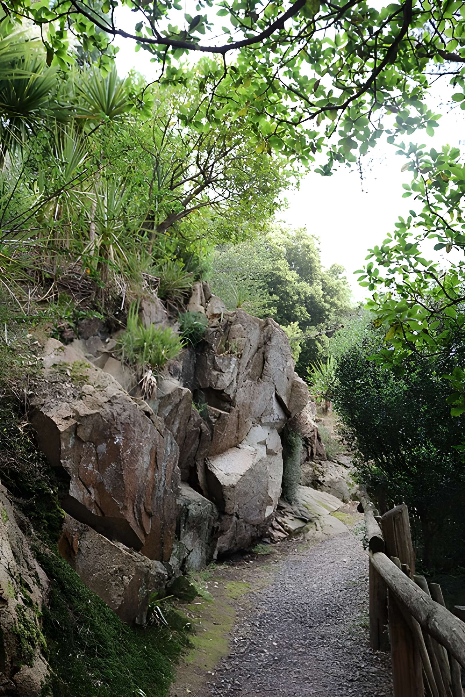 Jardin du Kestellic de Plouguiel