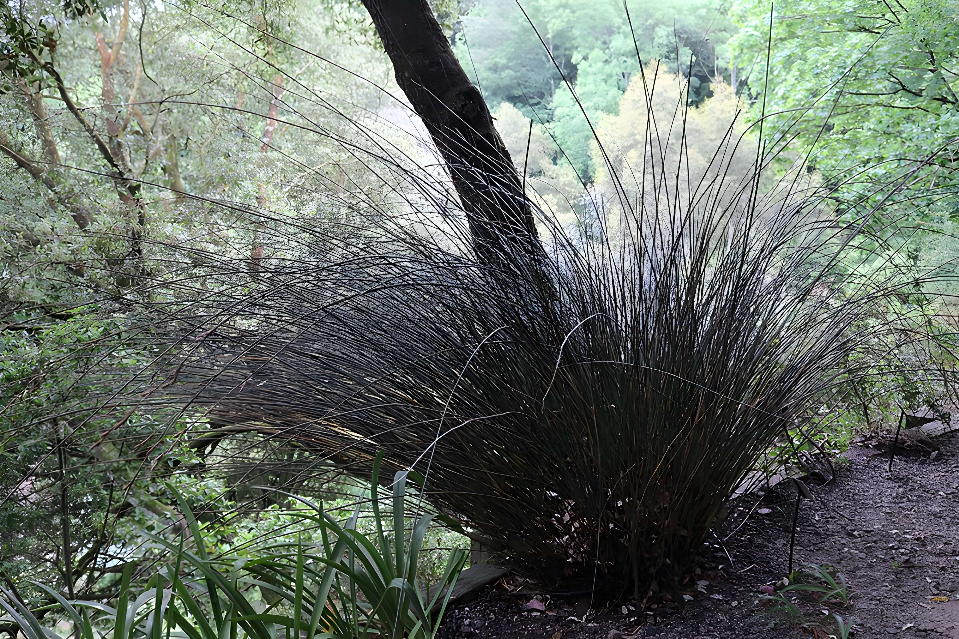 Jardin du Kestellic de Plouguiel