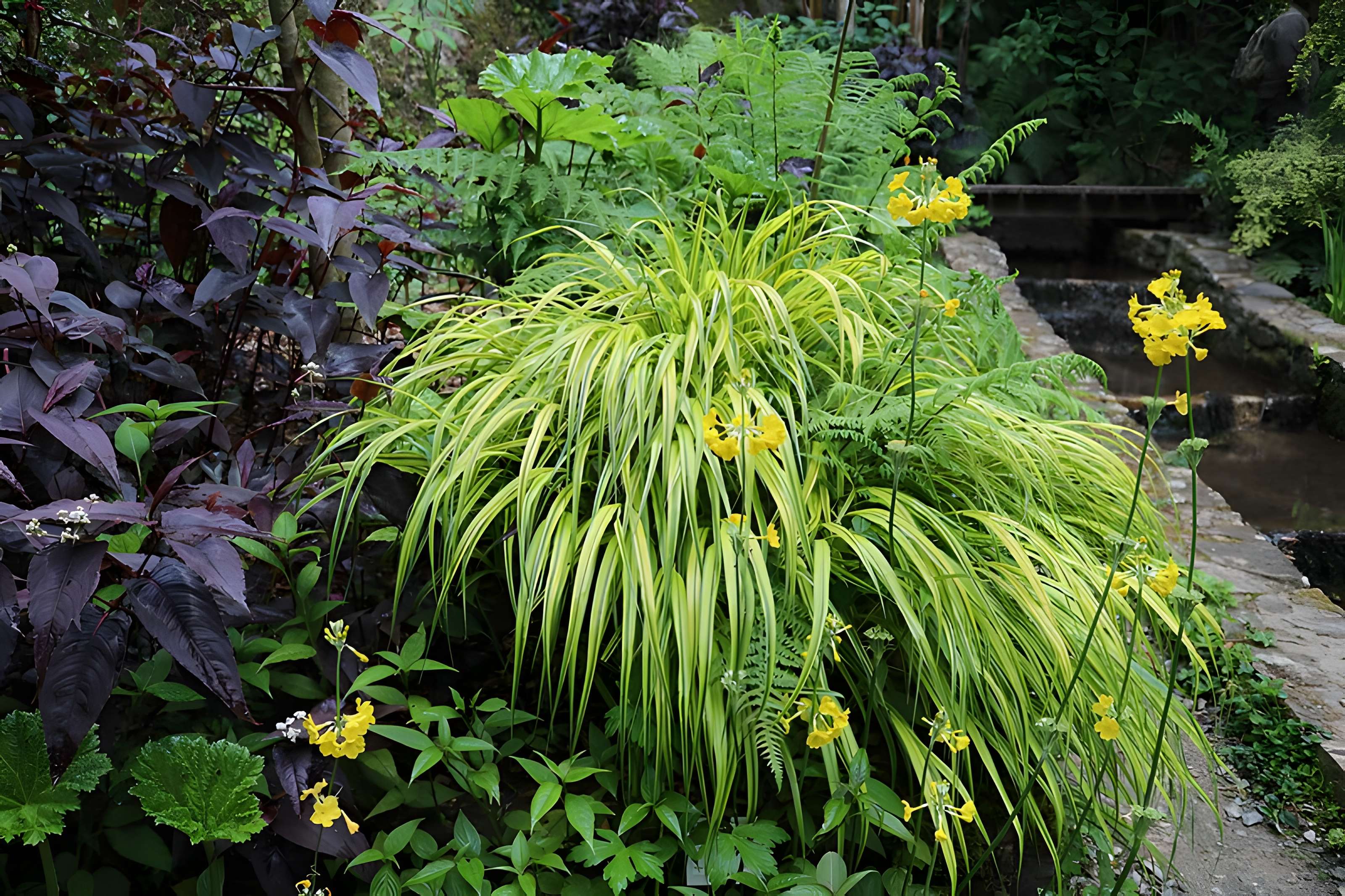 Jardin du Kestellic de Plouguiel