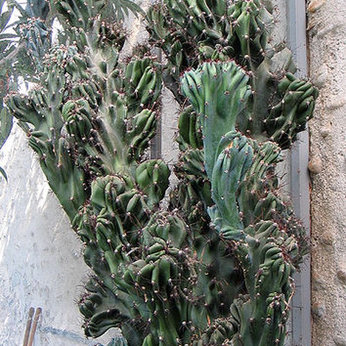 Photo de Jardin Massey de Tarbes