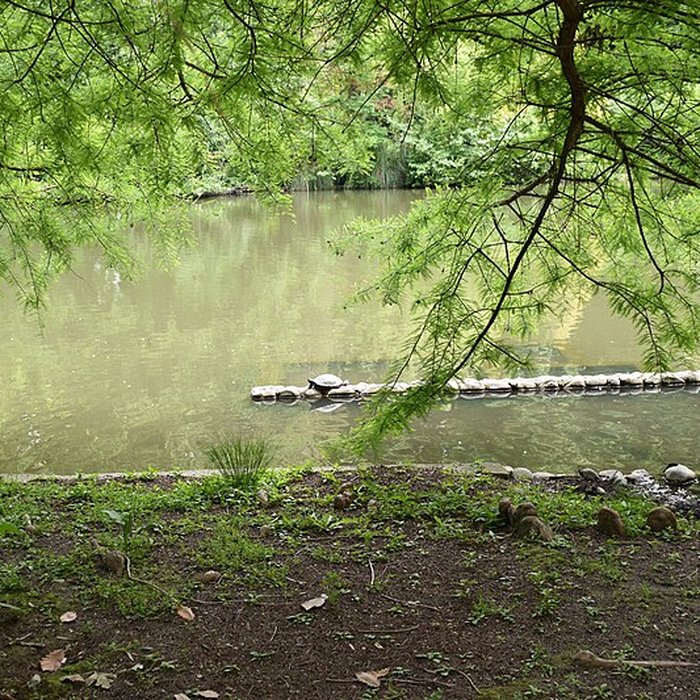 Photo de Jardin Massey de Tarbes