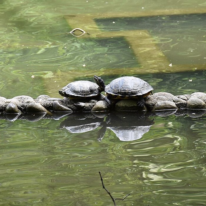 Photo de Jardin Massey de Tarbes