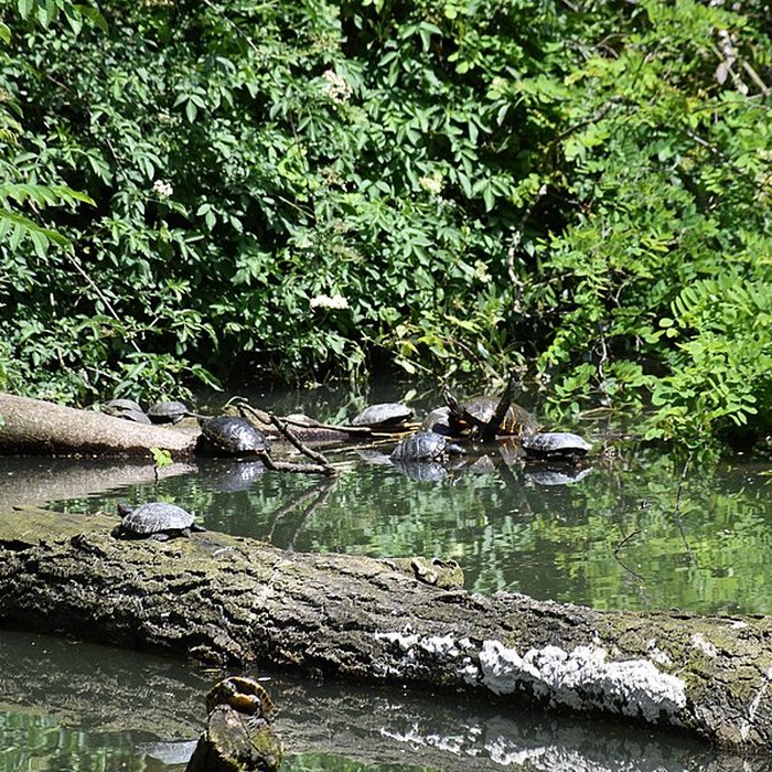 Photo de Jardin Massey de Tarbes