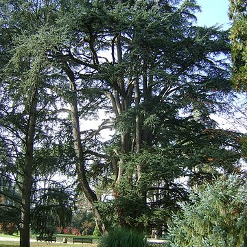Jardin Massey de Tarbes